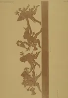 An illustration from Ancient Peruvian art : contributions to the archaeology of the empire of the Incas : [volume 1] / from his collections, by Arthur Baessler tr. by A.H. Keane . (1902)