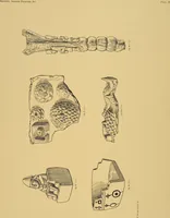 An illustration from Ancient Peruvian art : contributions to the archaeology of the empire of the Incas : [volume 1] / from his collections, by Arthur Baessler tr. by A.H. Keane . (1902)