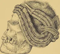 Picture 23 of 45 from Ancient Peruvian art : contributions to the archaeology of the empire of the Incas : [volume 1] / from his collections, by Arthur Baessler tr. by A.H. Keane . (1902), leaf 67