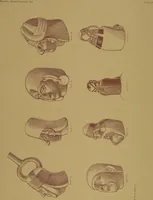An illustration from Ancient Peruvian art : contributions to the archaeology of the empire of the Incas : [volume 1] / from his collections, by Arthur Baessler tr. by A.H. Keane . (1902)