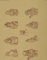 An illustration from Ancient Peruvian art : contributions to the archaeology of the empire of the Incas : [volume 1] / from his collections, by Arthur Baessler tr. by A.H. Keane . (1902)
