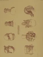 An illustration from Ancient Peruvian art : contributions to the archaeology of the empire of the Incas : [volume 1] / from his collections, by Arthur Baessler tr. by A.H. Keane . (1902)