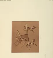 Picture 37 of 42 from Ancient Peruvian art : contributions to the archaeology of the empire of the Incas : [volume 3] / from his collections, by Arthur Baessler tr. by A.H. Keane . (1902), leaf 111