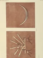 Picture 38 of 42 from Ancient Peruvian art : contributions to the archaeology of the empire of the Incas : [volume 3] / from his collections, by Arthur Baessler tr. by A.H. Keane . (1902), leaf 113