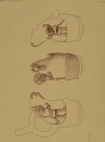 An illustration from Ancient Peruvian art : contributions to the archaeology of the empire of the Incas : [volume 3] / from his collections, by Arthur Baessler tr. by A.H. Keane . (1902)