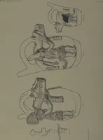 An illustration from Ancient Peruvian art : contributions to the archaeology of the empire of the Incas : [volume 3] / from his collections, by Arthur Baessler tr. by A.H. Keane . (1902)