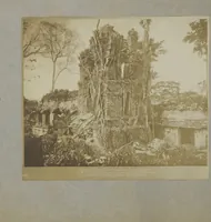 Picture 38 of 45 from 50 original photos of Mexican antiquities, circa 1900-1904 / [ca. half by commerical, half by a competent amateur] (1900), leaf 85