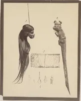 Picture 33 of 33 from Ancient pottery from the graves of Indians of Peru, South America : cheifly [sic] from the Santa valley near Chimbote ... photographed for W.W. Evans / by J.W. Hennager, New Rochelle, Jany. 1877 (1877), leaf 57