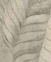Picture 16 of 64 from Disegni intagliati in rame di pitture antiche ritrovate nelle scavazioni di Resina (1746), leaf 38