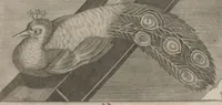 Picture 25 of 64 from Disegni intagliati in rame di pitture antiche ritrovate nelle scavazioni di Resina (1746), leaf 49