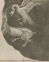 Picture 27 of 64 from Disegni intagliati in rame di pitture antiche ritrovate nelle scavazioni di Resina (1746), leaf 52