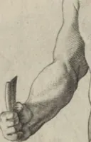 Picture 34 of 64 from Disegni intagliati in rame di pitture antiche ritrovate nelle scavazioni di Resina (1746), leaf 61