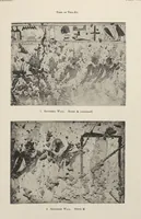 Picture 20 of 110 from Five years' explorations at Thebes : a record of work done 1907-1911 / by the Earl of Carnarvon and Howard Carter, with chapters by F. Ll. Griffith, George Legrain, George Möller, Percy E. Newberry and Wilhelm Spiegelberg ; with seventy-nine plates and frontispiece (1912), leaf 129