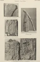 Picture 53 of 110 from Five years' explorations at Thebes : a record of work done 1907-1911 / by the Earl of Carnarvon and Howard Carter, with chapters by F. Ll. Griffith, George Legrain, George Möller, Percy E. Newberry and Wilhelm Spiegelberg ; with seventy-nine plates and frontispiece (1912), leaf 178