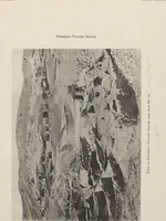 Picture 54 of 110 from Five years' explorations at Thebes : a record of work done 1907-1911 / by the Earl of Carnarvon and Howard Carter, with chapters by F. Ll. Griffith, George Legrain, George Möller, Percy E. Newberry and Wilhelm Spiegelberg ; with seventy-nine plates and frontispiece (1912), leaf 180