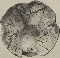 An illustration from Five years' explorations at Thebes : a record of work done 1907-1911 / by the Earl of Carnarvon and Howard Carter, with chapters by F. Ll. Griffith, George Legrain, George Möller, Percy E. Newberry and Wilhelm Spiegelberg ; with seventy-nine plates and frontispiece (1912)