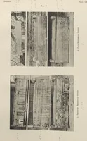 Picture 84 of 110 from Five years' explorations at Thebes : a record of work done 1907-1911 / by the Earl of Carnarvon and Howard Carter, with chapters by F. Ll. Griffith, George Legrain, George Möller, Percy E. Newberry and Wilhelm Spiegelberg ; with seventy-nine plates and frontispiece (1912), leaf 234