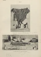 Picture 96 of 110 from Five years' explorations at Thebes : a record of work done 1907-1911 / by the Earl of Carnarvon and Howard Carter, with chapters by F. Ll. Griffith, George Legrain, George Möller, Percy E. Newberry and Wilhelm Spiegelberg ; with seventy-nine plates and frontispiece (1912), leaf 252
