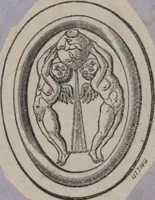 An illustration from Catalogue of the engraved gems collected between the years 1845 and 1877 by C.W. King : manuscript (1877)