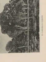 Picture 8 of 31 from Ausstellung des Sonderbundes Westdeutscher Kunstfreunde und Künstler, Düsseldorf, 1910 : vom 16. Juli bis 9. Oktober im Städtischen Kunstpalast am Kaiser-Wilhelm-Park : illustrierter Katalog (1910), leaf 73