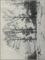 Picture 2 of 6 from Fourth annual exhibition of paintings by John F. Carlson, A.N.A. : February 26th to March 9th at the Louis Katz Galleries, New York (1913), leaf 5