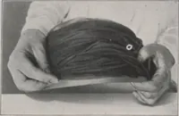 Picture 3 of 29 from Individuality in millinery (1921), leaf 12