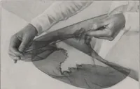 Picture 16 of 29 from Individuality in millinery (1921), leaf 24