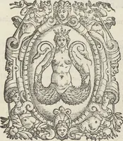 An illustration from Il trinciante / di M. Vincenzo Cervio ; ampliato, et ridotto a perfettione dal cavalier Reale Fusoritto da Narni ... ; con una bellissima aggiunta fatta nouamente dall'istesso caualier Reale .. (1593)