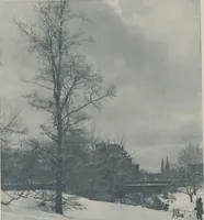 Picture 1 of 9 from Picturesque bits of New York and other studies / by Alfred Stieglitz (1897), leaf 6
