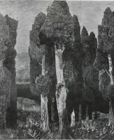 Picture 11 of 25 from Mediz Pelikan mappe / hrsg. vom Kunstwart (1922), leaf 12