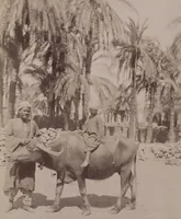An illustration from [Album of Egyptian and Turkish photographs. Volume 1 / assembled by Rudolf H. and Lulu Reinhart in 1906 on their wedding trip] (1906)