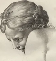 An illustration from Collections de têtes d'expressions représentant les différentes passions de l'ame : dessinées d'après les tableaux du Musée central des arts de Paris / par Jph. et Ane. Sauvage dit Lemire dédiées au citoyen Chaptel, ministère de l'Interior par J.J.F. Tassaert (1803)