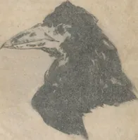 Picture 2 of 7 from Le corbeau = The raven : poëme / par Edgar Poe ; traduction française de Stéphane Mallarmé ; avec illustrations par Édouard Manet (1875), leaf 2