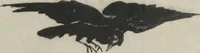 Picture 3 of 7 from Le corbeau = The raven : poëme / par Edgar Poe ; traduction française de Stéphane Mallarmé ; avec illustrations par Édouard Manet (1875), leaf 3