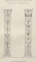 Picture 8 of 65 from Etchings, representing the best examples of ancient ornamental architecture : drawn from the originals in Rome, and other parts of Italy, during the years 1794, 1795 and 1796. by Charles Heathcote Tatham, architect facsimile reproduction by photo-lithography (1890), leaf 14