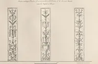 Picture 2 of 65 from Etchings, representing the best examples of ancient ornamental architecture : drawn from the originals in Rome, and other parts of Italy, during the years 1794, 1795 and 1796. by Charles Heathcote Tatham, architect facsimile reproduction by photo-lithography (1890), leaf 3