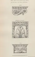 Picture 27 of 65 from Etchings, representing the best examples of ancient ornamental architecture : drawn from the originals in Rome, and other parts of Italy, during the years 1794, 1795 and 1796. by Charles Heathcote Tatham, architect facsimile reproduction by photo-lithography (1890), leaf 42
