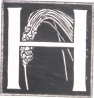 Picture 70 of 108 from Iulius Diez / Text von Rich. Braungart (1920), leaf 110