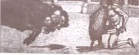 Picture 5 of 108 from Iulius Diez / Text von Rich. Braungart (1920), leaf 14
