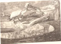 Picture 101 of 108 from Iulius Diez / Text von Rich. Braungart (1920), leaf 167