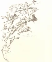 Picture 104 of 108 from Iulius Diez / Text von Rich. Braungart (1920), leaf 181