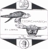 Picture 12 of 108 from Iulius Diez / Text von Rich. Braungart (1920), leaf 28
