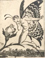 Picture 48 of 108 from Iulius Diez / Text von Rich. Braungart (1920), leaf 75