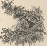 An illustration from Mr. Vanderbilt's house and collection : volume 2 / described by Edward Strahan (1883)
