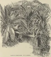 Picture 53 of 63 from Mr. Vanderbilt's house and collection : volume 2 / described by Edward Strahan (1883), leaf 89