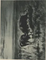 Picture 13 of 43 from Mr. Vanderbilt's house and collection : volume 3 / described by Edward Strahan (1883), leaf 36