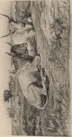 Picture 14 of 43 from Mr. Vanderbilt's house and collection : volume 3 / described by Edward Strahan (1883), leaf 38