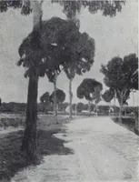 Picture 42 of 62 from Képes tárgymutató : a József Főherceg és Auguszta Főhercegasszony ő fenségeik védősége alatt álló sárosi mũvészi sorsjáték kiállításáról / szerkesztette, Lesskó János biz. titkár. (1915), leaf 91