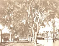 Picture 16 of 85 from [Album of Egyptian and Turkish photographs. Volume 2 / assembled by Rudolf H. and Lulu Reinhart in 1906 on their wedding trip] (1906), leaf 18