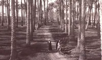 Picture 30 of 85 from [Album of Egyptian and Turkish photographs. Volume 2 / assembled by Rudolf H. and Lulu Reinhart in 1906 on their wedding trip] (1906), leaf 32